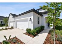 Beautiful, contemporary home featuring a two-car garage, landscaped walkway, and freshly painted exterior at 3717 Nandina Cir, Sun City Center, FL 33573