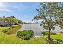 Picturesque lake view featuring lush green landscaping and a tranquil body of water under a bright sky at 8719 Lake Place Ln, Tampa, FL 33634