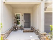 Charming entryway features a gray front door, stone accents, and a welcoming porch at 9660 Sweetwell Pl, Riverview, FL 33569