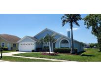 Charming single-story home with well-manicured lawn and mature palm trees at 18412 Oriole St, Lutz, FL 33558