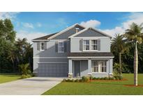 Charming two-story home featuring a gray exterior, well-manicured lawn, and tropical landscaping at 6737 Flint Creek Dr, Land O Lakes, FL 34638