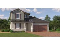 Charming two-story home with a manicured lawn, two-car garage, and a welcoming covered entrance at 9684 Minnow Ray Dr, Land O Lakes, FL 34638