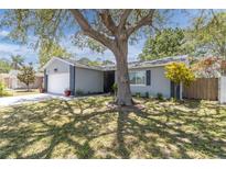Charming single-story home featuring a landscaped front yard and a large shade tree at 1428 Chesterfield Dr, Dunedin, FL 34698