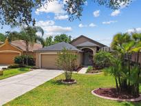Charming single-story home featuring a well-manicured lawn, mature landscaping, and an attached two-car garage at 6006 Chellas Ct, Lutz, FL 33558