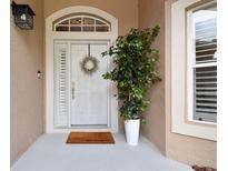 Inviting front door with decorative wreath, 'welcome' mat, and a charming accent plant at 6006 Chellas Ct, Lutz, FL 33558
