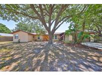 Charming single-story home with a well-maintained lawn and mature trees creating a shaded landscape at 601 Cedar Grove Dr, Brandon, FL 33511