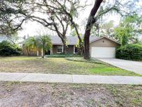 Charming home featuring a lush lawn and mature trees enhancing curb appeal at 3907 Applegate Cir, Brandon, FL 33511