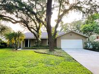Charming single story home with two car garage surrounded by mature trees and a lush lawn at 3907 Applegate Cir, Brandon, FL 33511