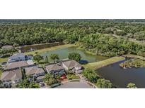 Beautiful aerial view of home with lush landscaping and tranquil pond views at 417 Ventura Dr, Oldsmar, FL 34677