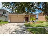 Charming single-story home featuring a two-car garage and nicely landscaped front yard at 20606 Whitewood Way, Tampa, FL 33647