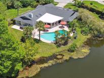 Stunning aerial view of home with backyard pool, patio, and lush landscaping overlooking a peaceful pond at 4106 Queller Way, Tampa, FL 33618