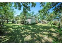 Spacious, grassy backyard, partially shaded by mature trees, offering a serene outdoor space at 12302- Pittsfield Ave, Tampa, FL 33624