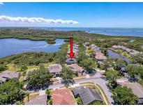 A beautiful aerial view of a home in a waterfront neighborhood, showcasing its proximity to the water and lush surroundings at 1003 Teal Pointe, Tarpon Springs, FL 34689