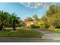 Charming single-story home with mature trees and a well-maintained front yard with a curved driveway at 631 Luzon Ave, Tampa, FL 33606