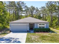 Charming single-story home featuring a two-car garage, manicured lawn, and well-maintained landscaping at 14020 Sooty Tern Ave, Brooksville, FL 34614