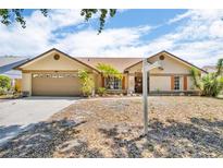 Charming single-story home featuring a well-maintained front yard and attached two-car garage at 1536 Norwick Dr, Lutz, FL 33559