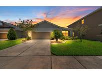 Charming single-story home with a well-manicured lawn, landscaped garden, and a two-car garage at sunset at 32648 Coldwater Creek Loop, Wesley Chapel, FL 33545