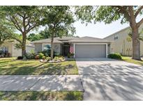 Charming single-story home with a gray exterior, lush landscaping, and an attached two-car garage at 5754 Sweet William Ter, Land O Lakes, FL 34639