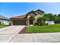 Charming home featuring a two-car garage, manicured lawn, and well-maintained landscaping at 1704 Via Palermo St, Plant City, FL 33566