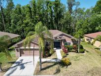 Charming single-story home featuring a well-maintained lawn, lush landscaping, and inviting curb appeal at 1135 Wyndham Lakes Dr, Odessa, FL 33556