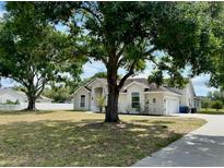 Charming single-story home with mature trees, well-maintained lawn, and attached two-car garage at 17127 Brown Rd, Odessa, FL 33556