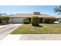 Well-maintained single-story home featuring a green lawn and mature landscaping at 3330 Foxridge Cir, Tampa, FL 33618