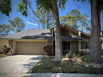 Charming home featuring a manicured lawn, mature trees, and an attached two-car garage at 14678 Village Glen Cir, Tampa, FL 33618