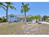 Charming single-story home featuring mature palm trees and a well-manicured lawn at 2004 Berry Roberts Dr, Sun City Center, FL 33573
