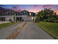 Stylish townhome with a private garage and driveway, set against a vibrant sunset backdrop at 23378 Papyrus Way, Lutz, FL 33549