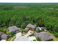 Expansive aerial view shows an estate featuring a pool and ample green space at 14809 Ninebark Ct, Land O Lakes, FL 34638
