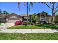 Charming single-story home with a well-manicured lawn, mature trees, and vibrant landscaping at 18533 Avocet Dr, Lutz, FL 33558