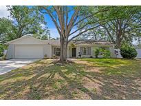 Charming single-story home featuring a well-maintained lawn and mature trees providing ample shade at 6712 Jennifer Dr, Temple Terrace, FL 33617