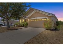 Charming single-story home with well-maintained lawn and a spacious two-car garage at 8704 Sandy Plains Dr, Riverview, FL 33578