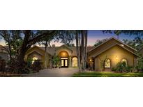 Beautiful home with a well-manicured lawn and mature trees, creating a welcoming curb appeal at 2513 Regal River Rd, Valrico, FL 33596