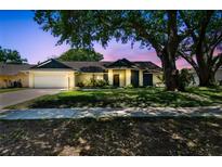 Charming single-story home features an attached garage and a beautifully landscaped front yard with mature trees at 3041 Avalon Terrace Dr, Valrico, FL 33596