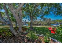 Lush backyard with mature trees offering shade and scenic water views at 3133 Pineview Dr, Holiday, FL 34691