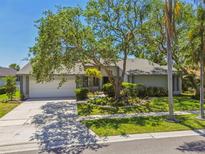 Charming single-story home with mature trees, lush landscaping, and a two-car garage at 4226 Saltwater Blvd, Tampa, FL 33615