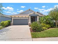 Charming single-Gathering home boasting a well-maintained lawn and attached two-car garage in a desirable neighborhood at 5609 Silver Sun Dr, Apollo Beach, FL 33572