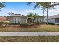 Charming single-story home featuring tidy landscaping and palm trees in a well-maintained front yard at 8463 Dunham Station Dr, Tampa, FL 33647