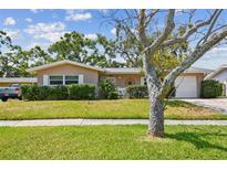 Charming single-story home with lush green lawn and mature landscaping, creating inviting curb appeal at 3072 Keene Park Dr, Largo, FL 33771