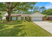 Charming single-story home featuring a well-manicured lawn, mature tree, and attached two-car garage at 11709 Rolling Oaks Ln, Tampa, FL 33618