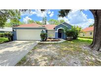 Charming single-story home with a well-maintained lawn and a two-car garage at 28818 Midnight Star Loop, Wesley Chapel, FL 33543