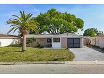 Charming single-story home featuring a well-maintained lawn and mature palm tree at 3338 Hoover Dr, Holiday, FL 34691
