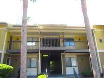 Multi-Gathering building exterior with yellow siding, balconies, and stairways at 13289 Arbor Pointe Cir # 201, Tampa, FL 33617