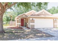 Charming single-story home featuring a well-manicured front yard and an attached two-car garage at 302 Summer Sails Dr, Valrico, FL 33594