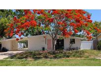 Charming home featuring a beautiful flowering tree, brick facade, a pink door, and a convenient carport at 4735 W Wisconsin Ave, Tampa, FL 33616