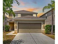 Charming two-story home with a well-manicured lawn, two-car garage and tropical landscaping at 2122 Richwood Pike Dr, Ruskin, FL 33570