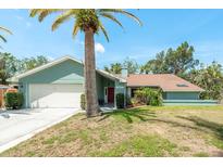 Charming single-story home with a well-maintained lawn, palm trees, and a red front door, providing great curb appeal at 3647 Scarlet Tanager Dr, Palm Harbor, FL 34683
