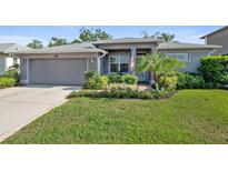 Charming single-story home featuring a manicured lawn and lush landscaping at 708 Sandy Hills Ave, Tarpon Springs, FL 34689
