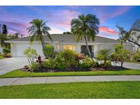 Beautiful single-story home with tropical landscaping, well-manicured lawn, and a serene, inviting atmosphere at 9072 Baywood Park Dr, Seminole, FL 33777